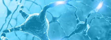 Neurons firing