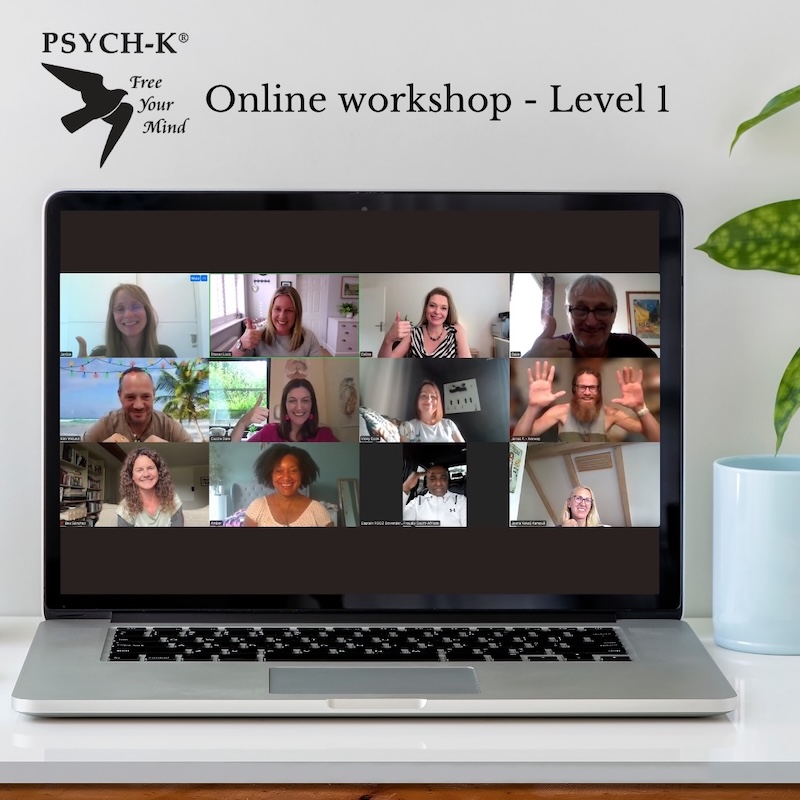 Online Workshop Level 1 group